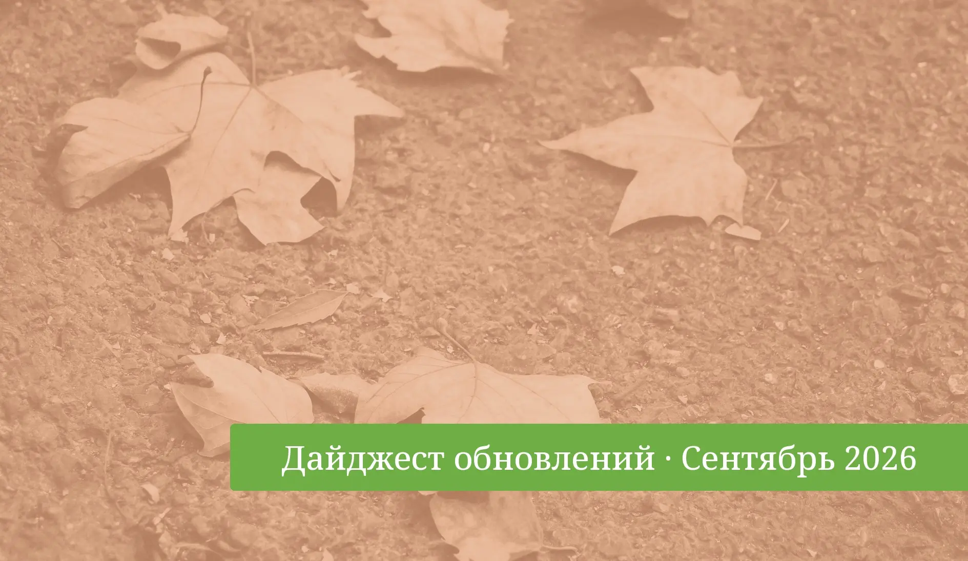 Дайджест обновлений Планадо: сентябрь 2026