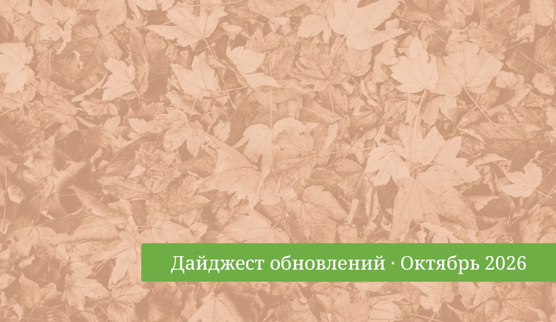 Дайджест обновлений Планадо: октябрь 2026